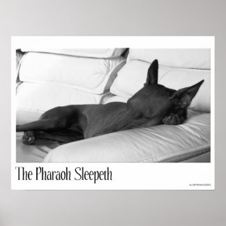 Affiche Pharaon Hound | Pharoah Sleepeth
