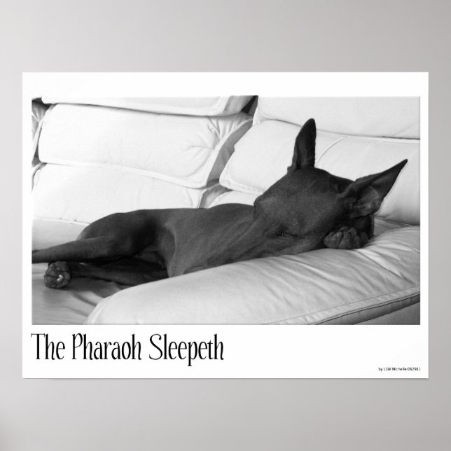 Affiche Pharaon Hound | Pharoah Sleepeth (Devant)