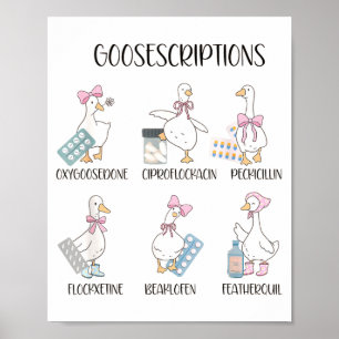 Affiche Pharmacie drôle d'oie prescriptions idiotes jeux d