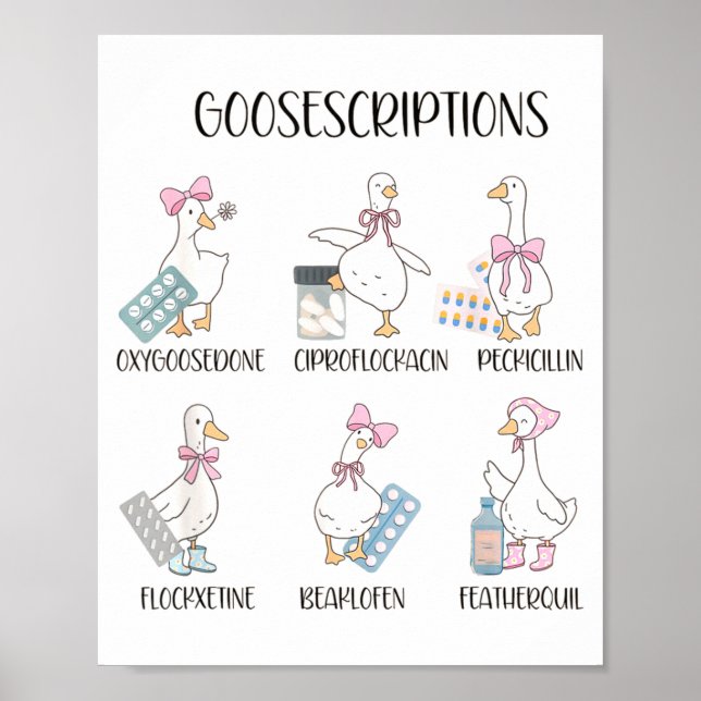 Affiche Pharmacy Funny Goose Silly Prescriptions Puns Medi (Devant)