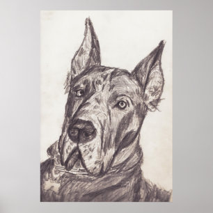 Affiche pharoah sk3 str