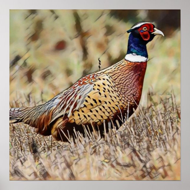 Affiche Pheasant (Devant)