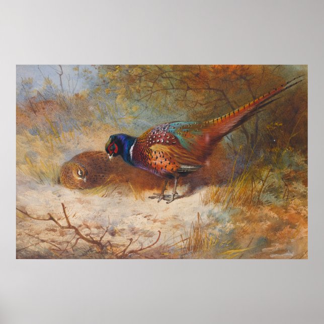 Affiche Phéasants (Devant)