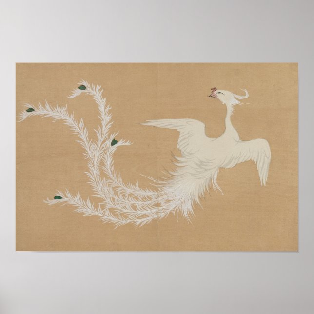 Affiche Phénix Blanc  (Devant)