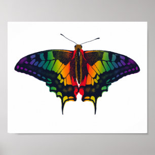 Affiche Philadelphie Rainbow Pride Flag Swallowtail