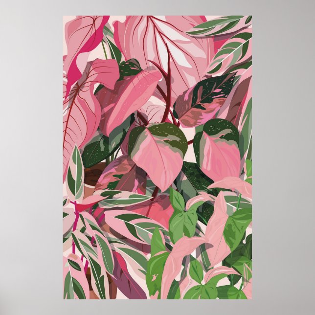 AFFICHE PHILODENDRON ROSE PRINCESS LADIES POSTER, (Devant)