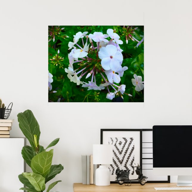 Affiche Phlox, (Bureau à domicile)