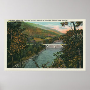 Affiche Phoencia, Pont sur Esopus