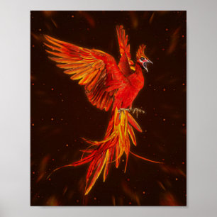 Affiche Phoenix Rising - # 1