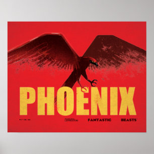 Affiche Phoenix Vingate Graphic
