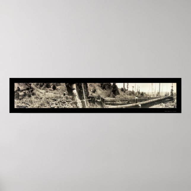 Affiche Photo 1915 de Lumberjack Redwoods (Devant)