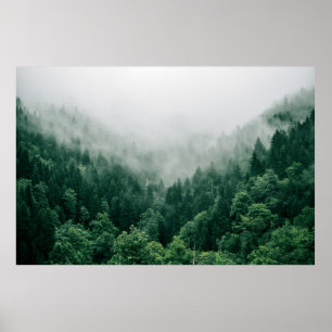 AFFICHE PHOTO AÉRIENNE D'ARBRES VERTS