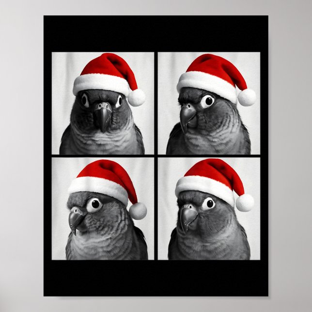 Affiche Photo amusant de Noël d'un conure à joues vertes e (Devant)