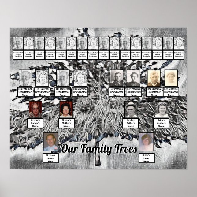 Affiche Photo Arbres de famille sur Art numérique noir et  (Devant)