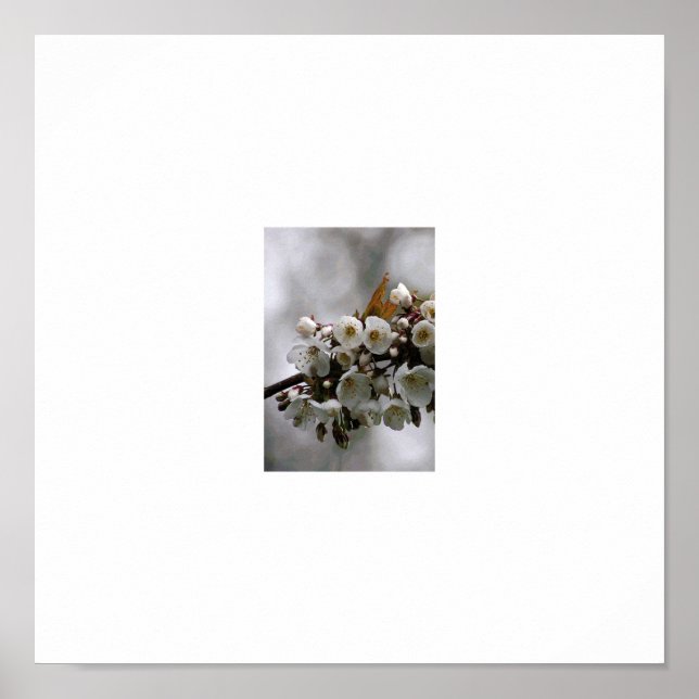 Affiche Photo cadre (Devant)