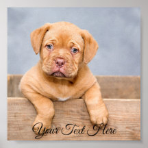 Photo d'affiche personnalisée pour les Carrés.