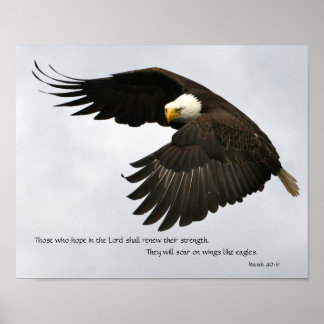 Affiche Photo d'aigle avec la Bible Verse