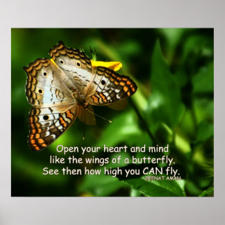 Affiche Photo d'art papillon