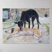 Photo d'art pittoresque de chiens gris dans une co