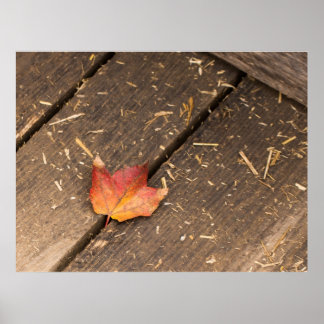 Affiche photo d'automne minimaliste de la feuille d'érable