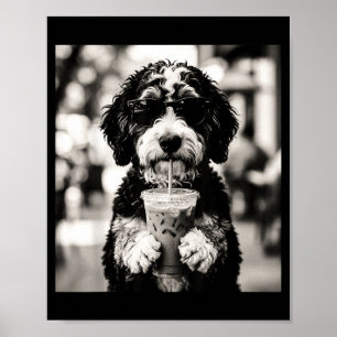 Affiche Photo de café glacé Bernedoodle Art drôle d'amant