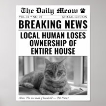 Photo de chat drôle en manchette dans un journal