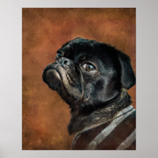 Affiche Photo de chien de Carlin noir