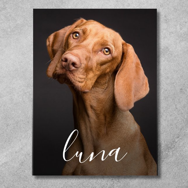 Affiche Photo de chien personnalisé avec nom  (Pet Photo Poster)