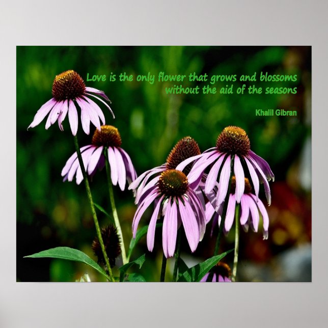 Affiche Photo de confleur violet avec citation de Khalil G (Devant)