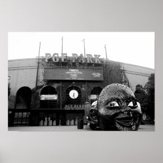 Affiche photo de desilva