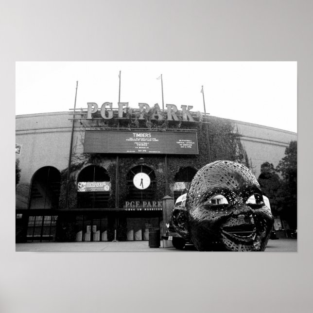 Affiche photo de desilva (Devant)