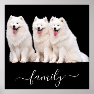 Affiche Photo de famille Amoureux des chiens