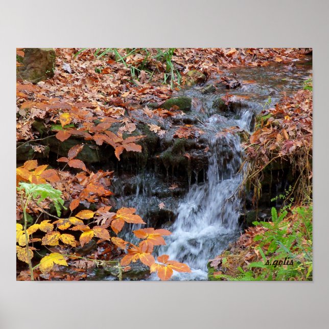 Affiche photo de feuilles d'automne et cascade (Devant)