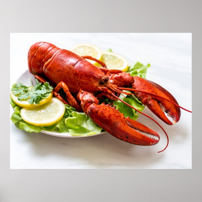 Affiche Photo de homard (Devant)