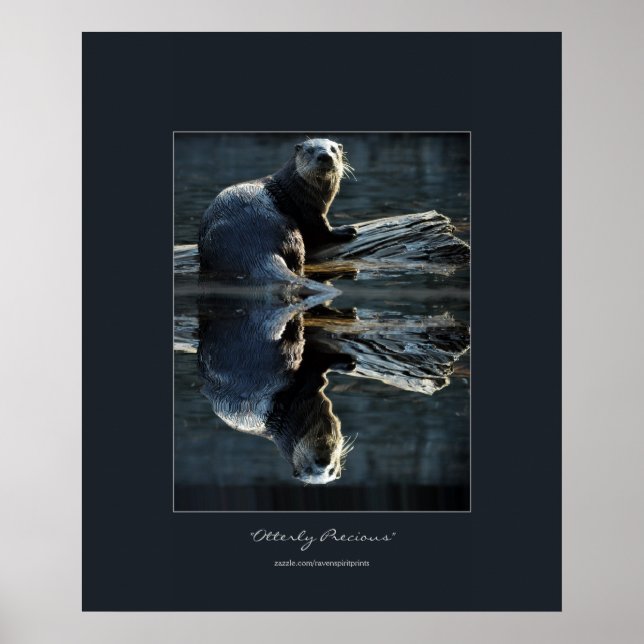 Affiche Photo de la faune de la loutre de la rivière North (Devant)