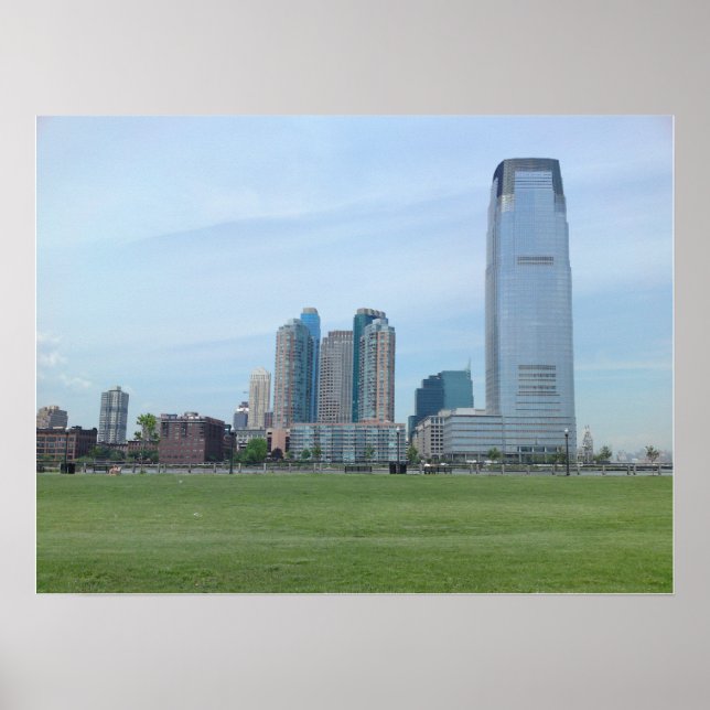 Affiche Photo de l'affiche LSP (Devant)