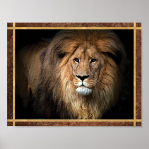 Affiche Photo de Lion Majestueux