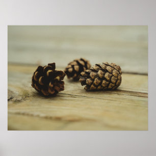 Affiche Photo de nature morte rustique de pommes de pin su