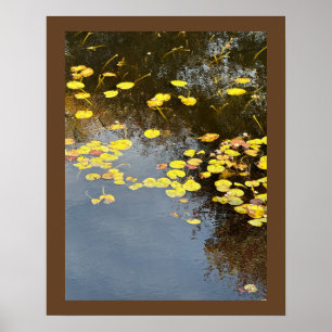 Affiche Photo de Nymphéas