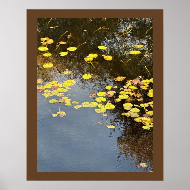 Affiche Photo de Nymphéas (Devant)