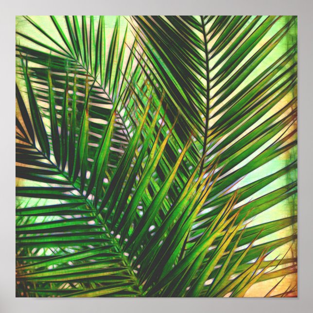 Affiche photo de palmier tropical dans les tons verts (Devant)