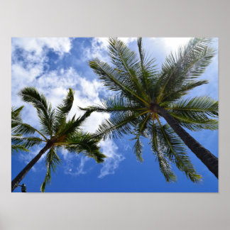 Affiche Photo de palmiers tropicaux