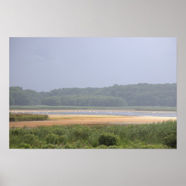 Affiche photo de paysage aquatique  (Devant)