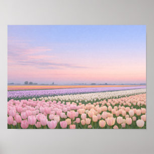 Affiche Photo de paysage de champ de tulipes pastel au lev
