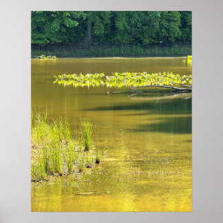 Affiche photo de paysage d'étang