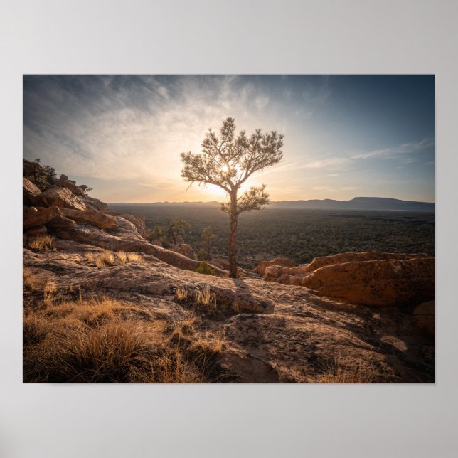 Affiche Photo de paysage du Nouveau-Mexique (Devant)