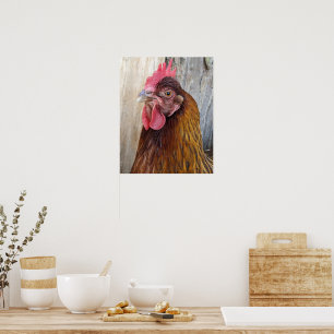 Affiche Photo de poule rouge