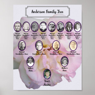 Affiche Photo de rose rose pâle avec photos d'ancêtres ova