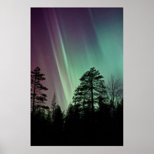 AFFICHE PHOTO DE SILHOUETTE D'AURORA BOREALIS
