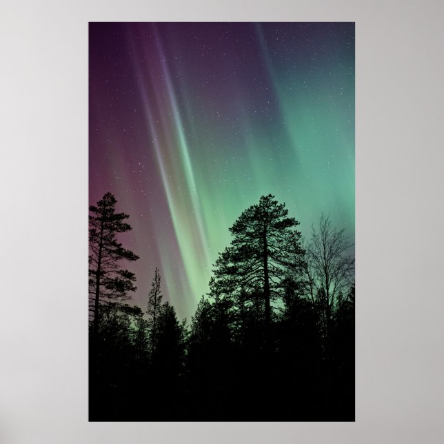 AFFICHE PHOTO DE SILHOUETTE D'AURORA BOREALIS (Devant)
